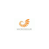 Logo Microsegur